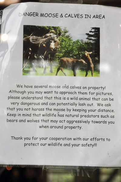 sign: moose in area