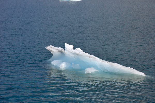 growler - a small iceberg
