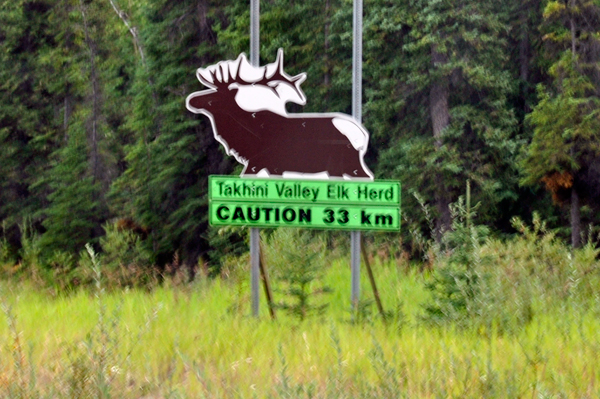 elk warning sign