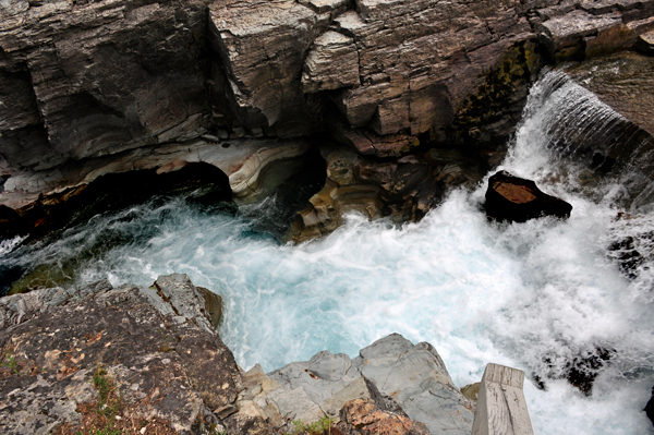 waterfall at Avalanche Creek