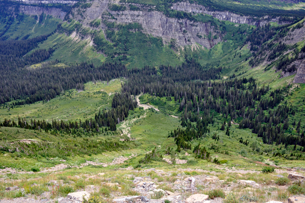 scenery in Glacier National Park