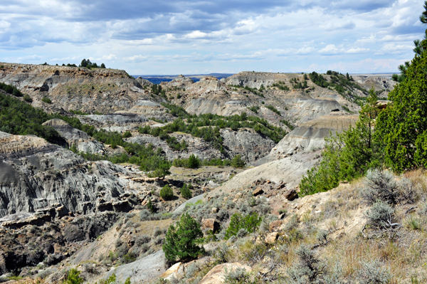 The two RV Gypsies at Makoshika State Park in MT