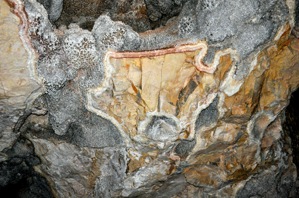 An unique design in the walls at Jewel Cave