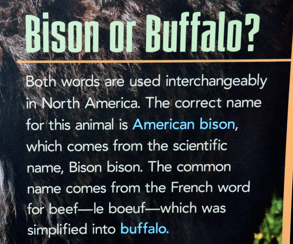 sign: Bison or Buffalo