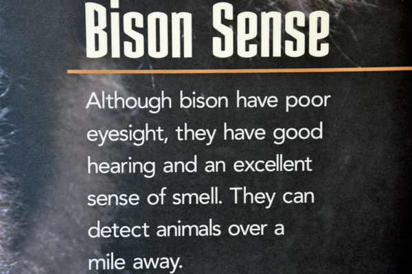 sign about bison's sense of smell