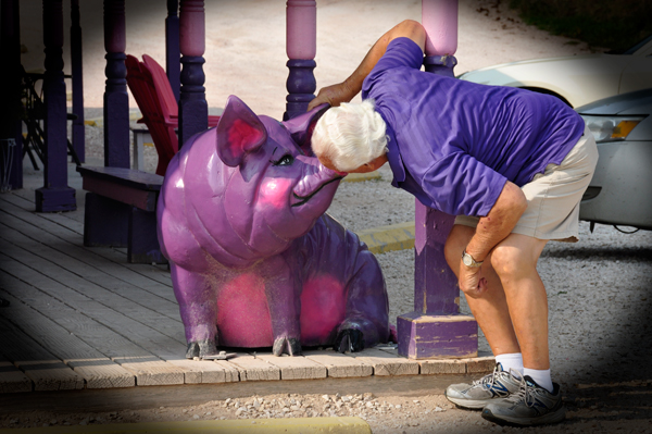 Lee kisses the purple pig