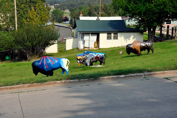 Three painted buffalo across the street from the artist's house