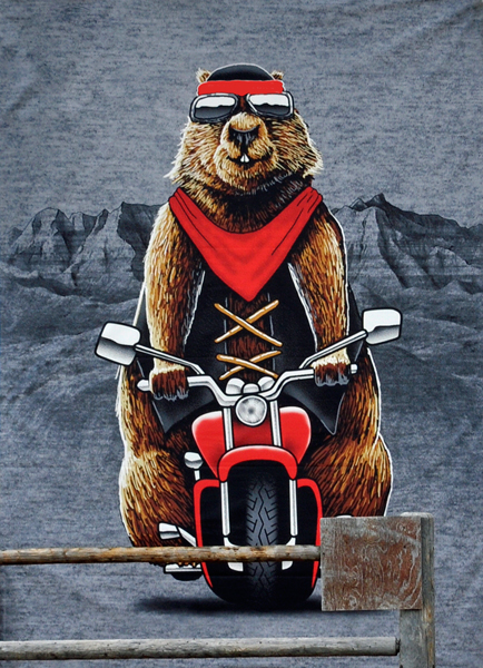 Posterr: Prairie Dog on a motorcycle