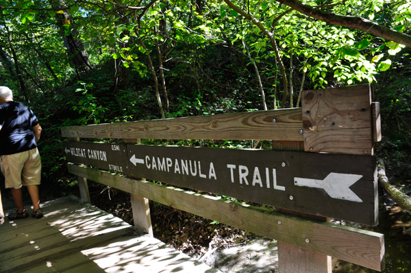 Lee Duquette on Campanula Trail