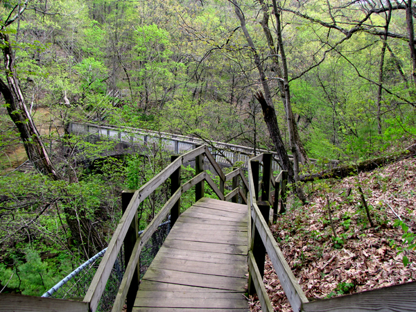 bridges and stairs at Matthiessen State Park
