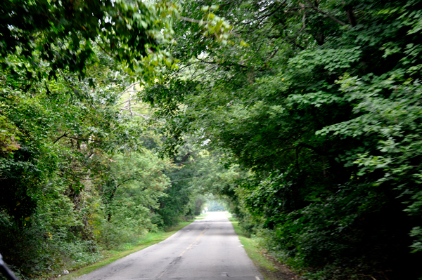 paved road leaving campground