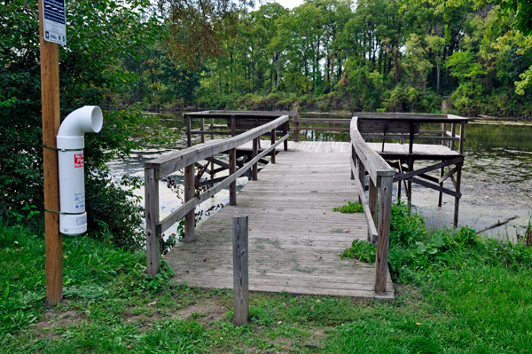 small pier at Keehne Nature Center