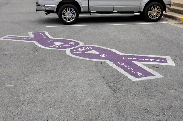 Purple ribbons in the road