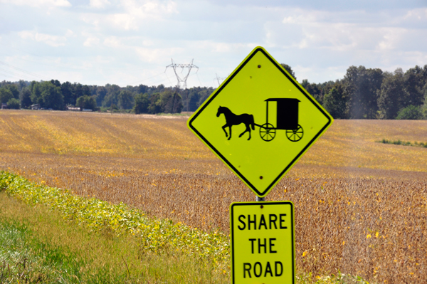 horse and carriage sign