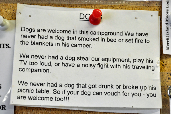 dogs welcome sign
