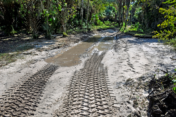 dirt & muddy road