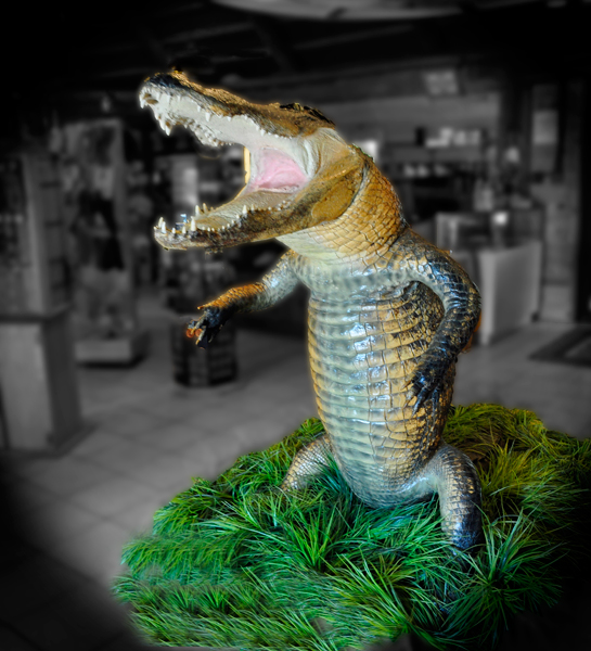 An alligator statue inside the Gift Shop.