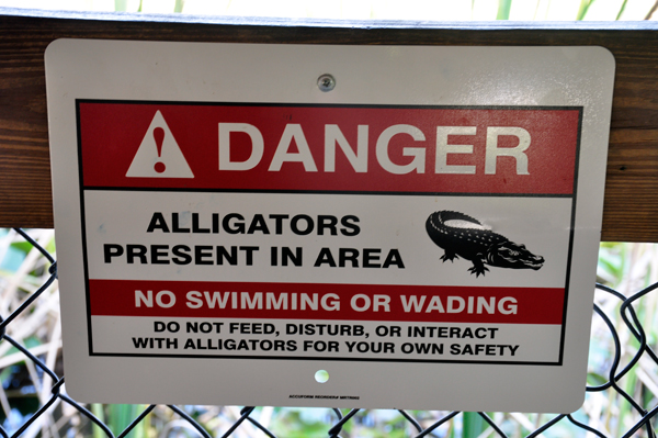 alligator warning sign