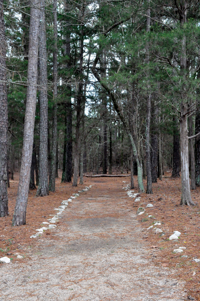 hiking trail at Andrew Jackson State Park