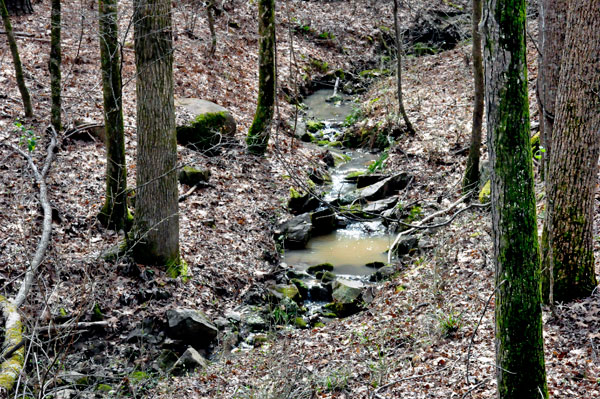 creek along Pine Hollow Trail