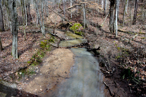 creek along Pine Hollow Trail