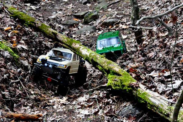 two RC cars in the woods