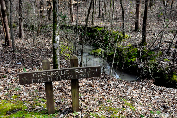 entering Creekside Trail