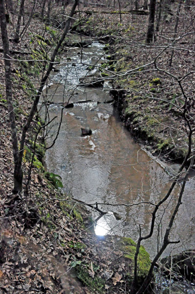 creek along Creekside Trail