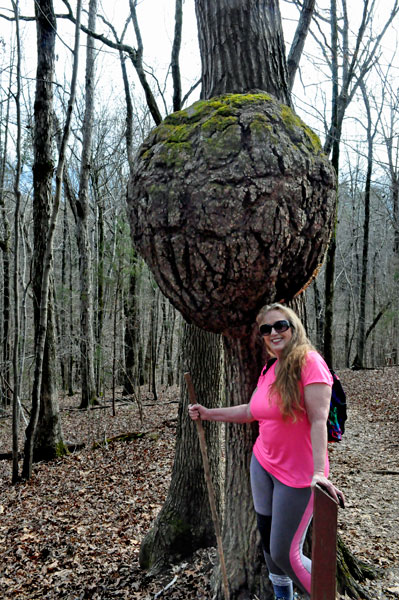 Karen Duquette and a giant Burl