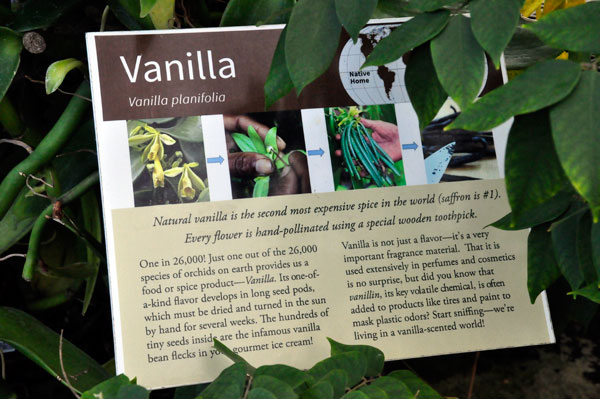sign about Vanilla