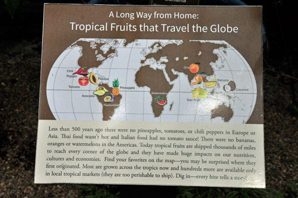 sign about Tropical Fruits