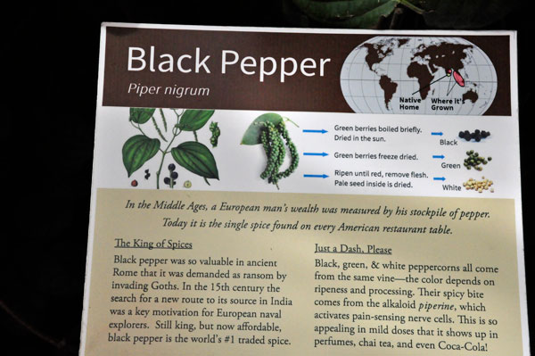 sign about Black Pepper