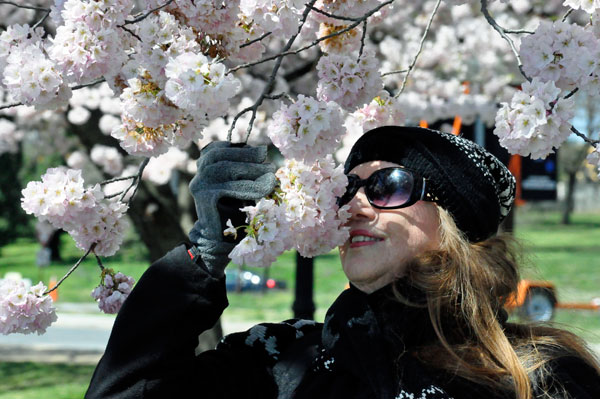 Karen Duquette smelling the Cherry Blossoms