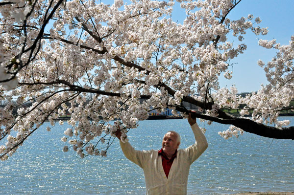 Lee Duquette and the Cherry Blossoms