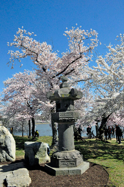 memorial among the Cherry Blossom trees