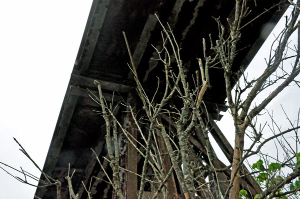 looking up under the railroad trestle