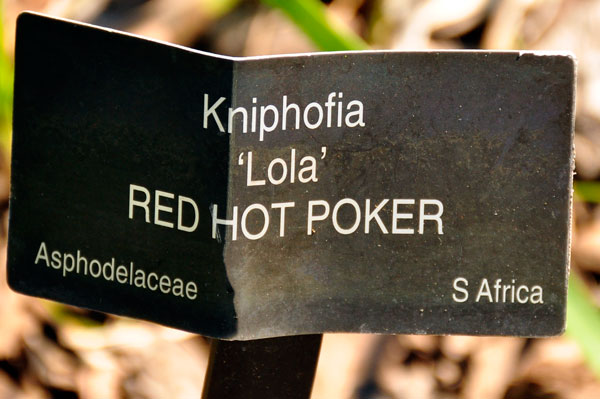 red hot poker sign