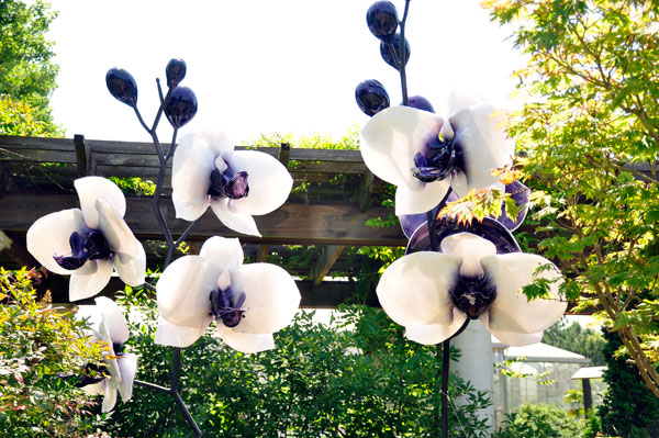 white and purple Cattleya glass flowers