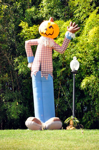 scarecrow on the hill in Fort Mill