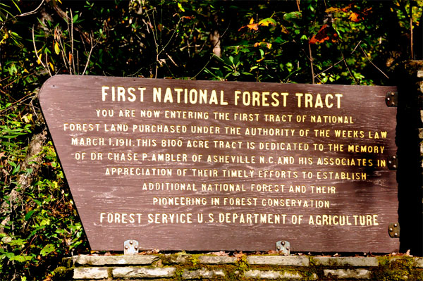 First National Forest Tract informational sign