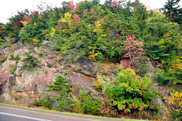 fall colors by the road