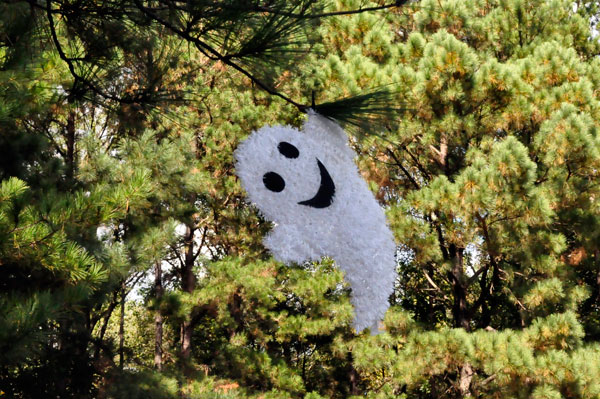 ghost in the tree