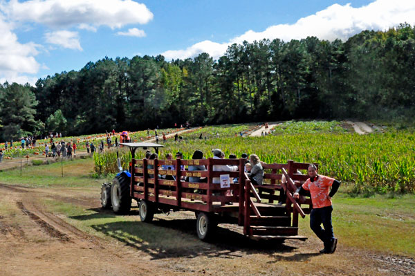 Hall Family Farm hayride truck