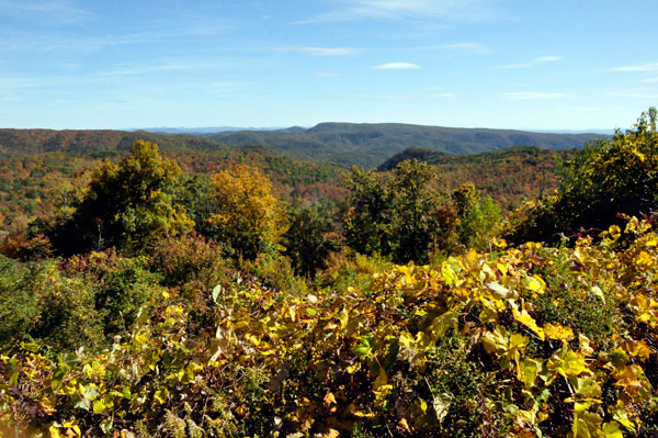 view from Brown Mountain Overlook