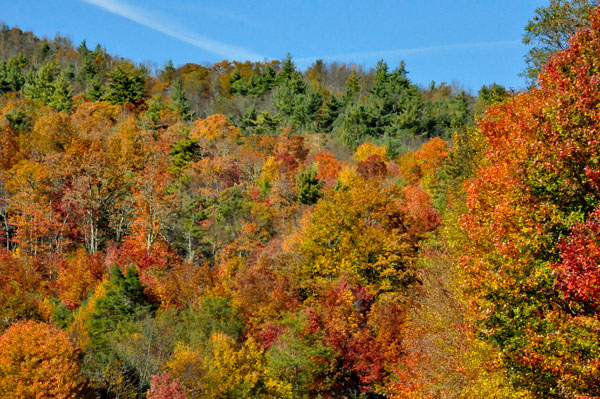 fall colors, autumn colors