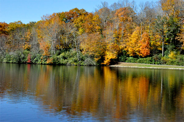 fall colors and reflections in the lake