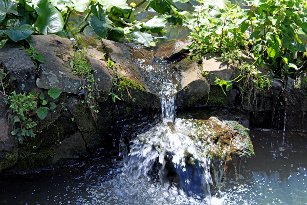 close-up of small waterfall