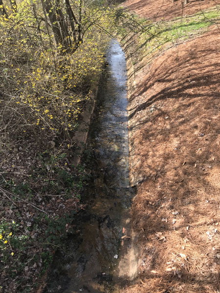 a small stream