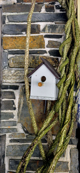 bird house and vines