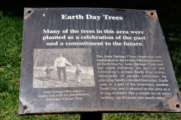 Earth Day Tree sign